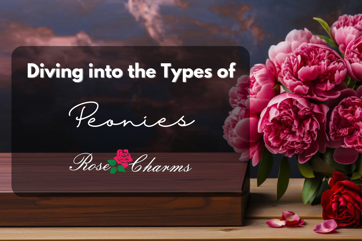 Diving into the Types of Peonies: An Extensive Exploration of Their Many Facets